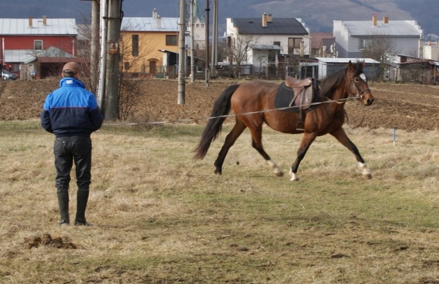 ScholaInNatura Fotogaleria