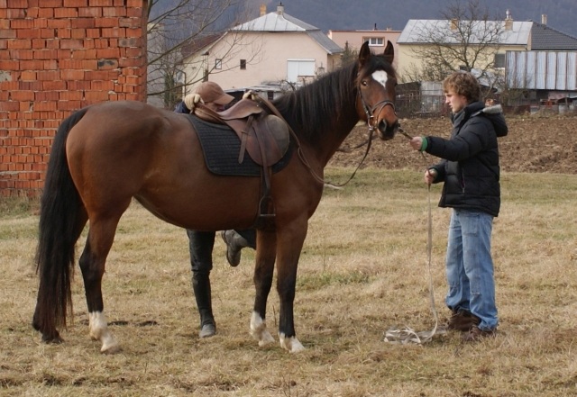ScholaInNatura Fotogaleria