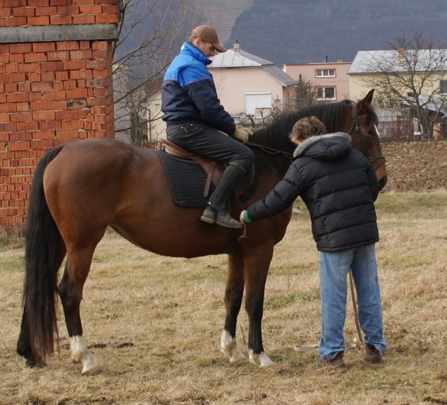ScholaInNatura Fotogaleria