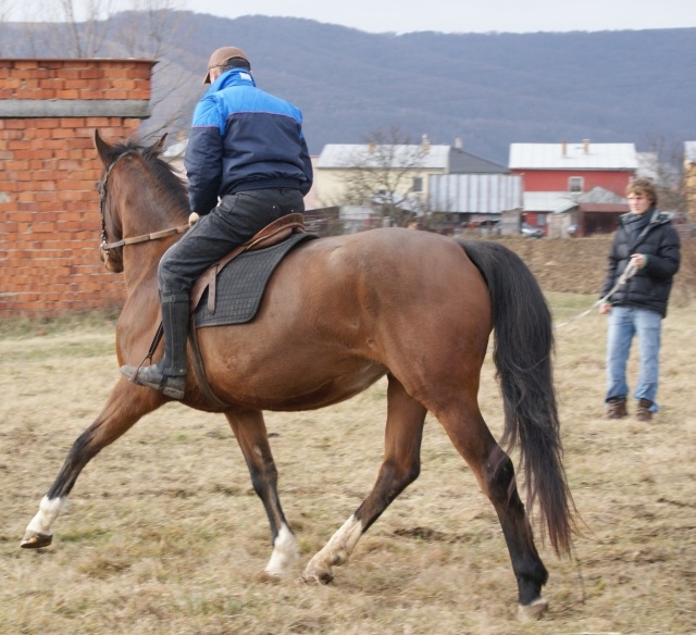 ScholaInNatura Fotogaleria
