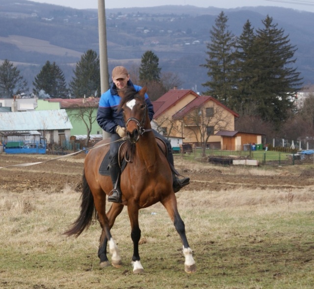ScholaInNatura Fotogaleria