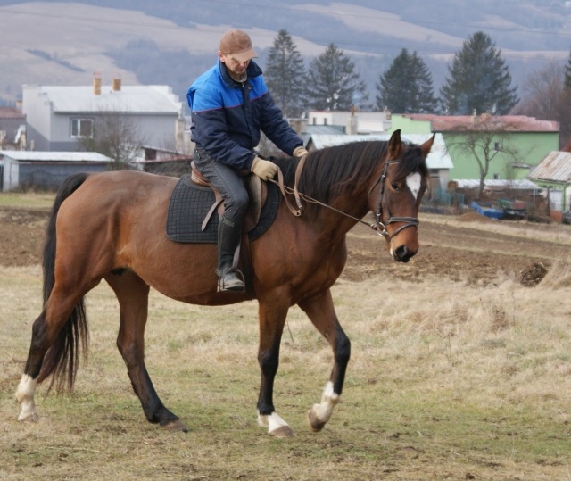 ScholaInNatura Fotogaleria
