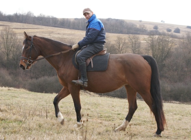 ScholaInNatura Fotogaleria