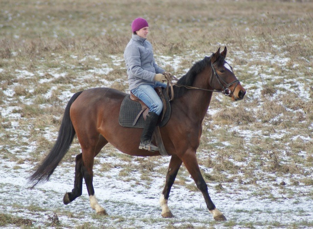 ScholaInNatura Fotogaleria
