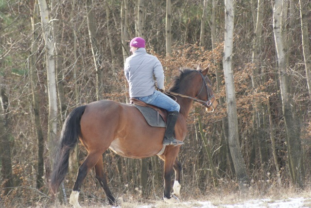 ScholaInNatura Fotogaleria