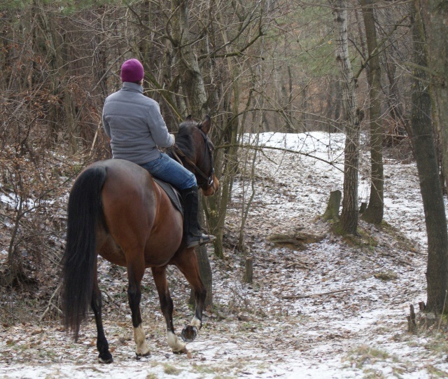 ScholaInNatura Fotogaleria