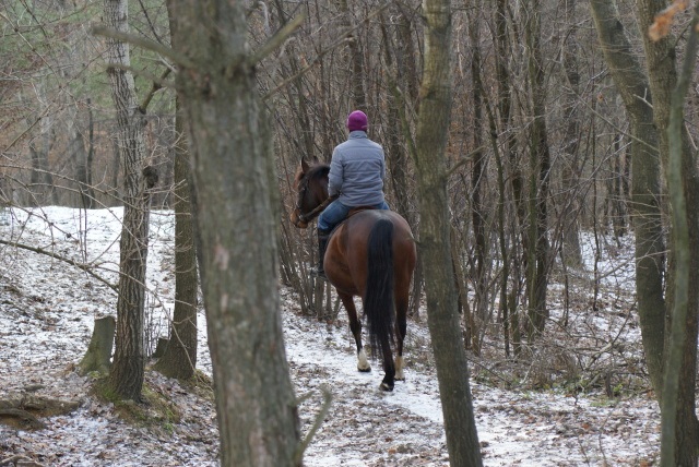 ScholaInNatura Fotogaleria