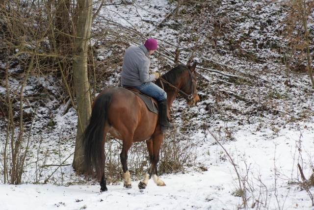ScholaInNatura Fotogaleria
