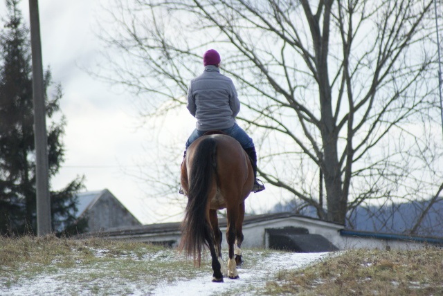 ScholaInNatura Fotogaleria