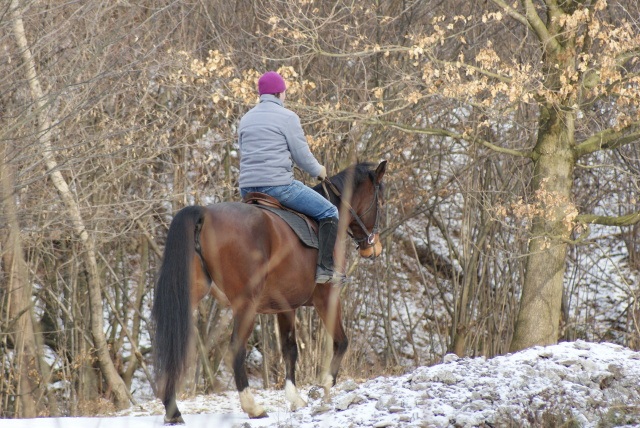 ScholaInNatura Fotogaleria