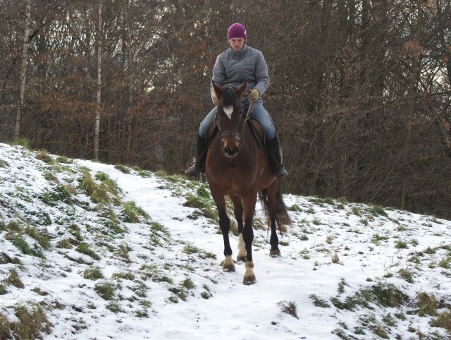 ScholaInNatura Fotogaleria