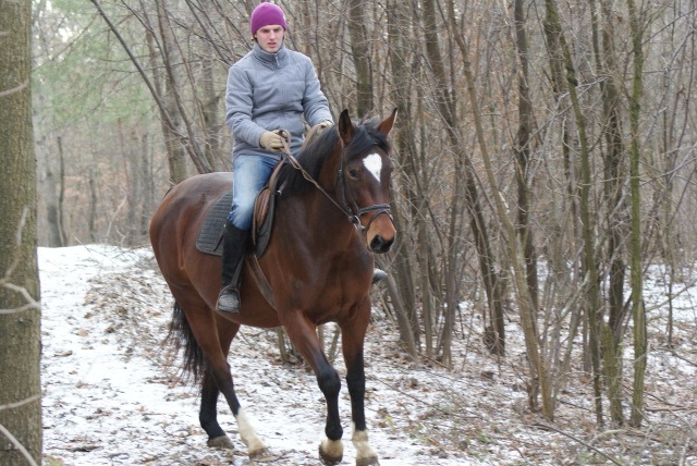ScholaInNatura Fotogaleria