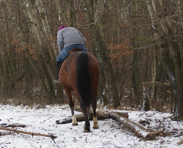 ScholaInNatura Fotogaleria