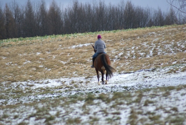 ScholaInNatura Fotogaleria