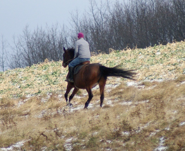 ScholaInNatura Fotogaleria