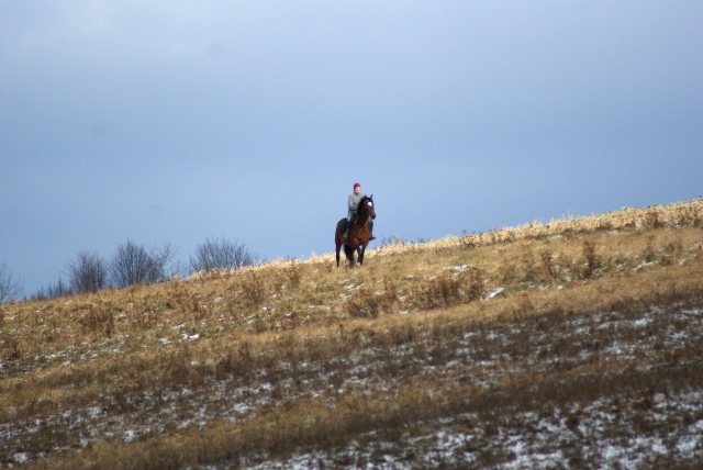 ScholaInNatura Fotogaleria