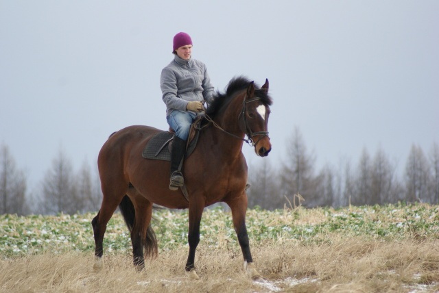 ScholaInNatura Fotogaleria