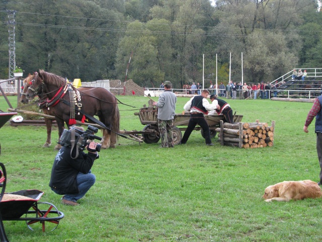ScholaInNatura Fotogaleria