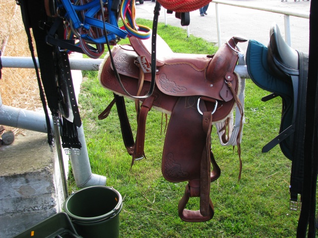 ScholaInNatura Fotogaleria