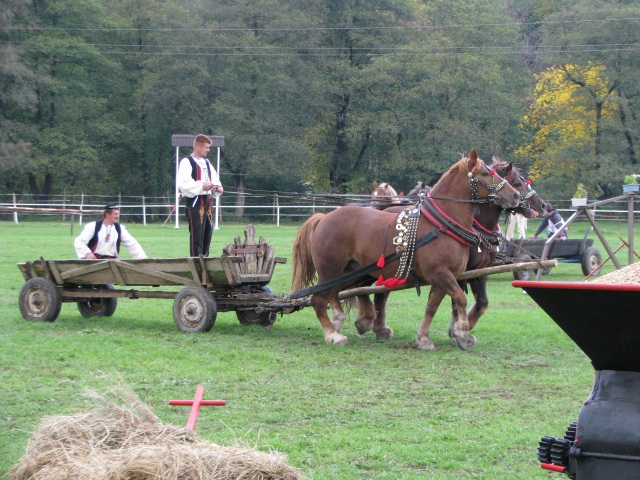 ScholaInNatura Fotogaleria