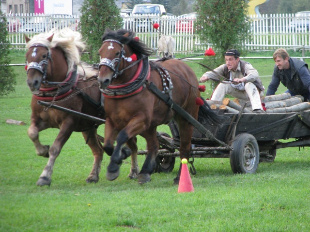 ScholaInNatura Fotogaleria