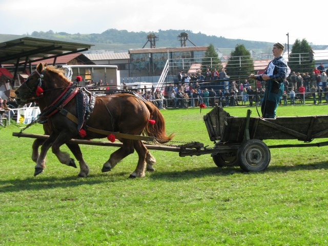 ScholaInNatura Fotogaleria