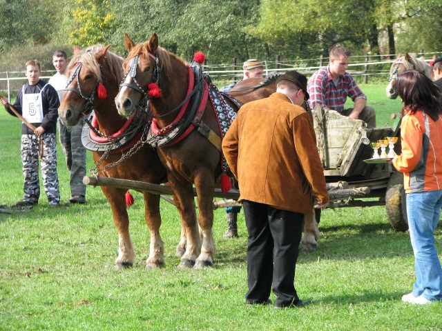 ScholaInNatura Fotogaleria