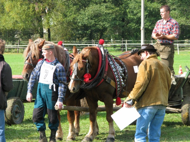 ScholaInNatura Fotogaleria
