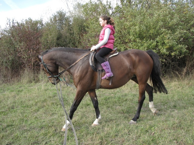 ScholaInNatura Fotogaleria