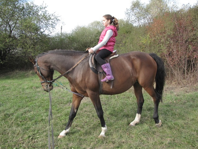 ScholaInNatura Fotogaleria