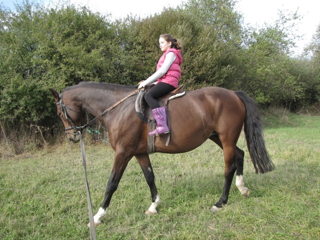 ScholaInNatura Fotogaleria