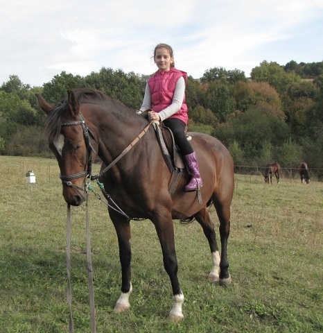 ScholaInNatura Fotogaleria