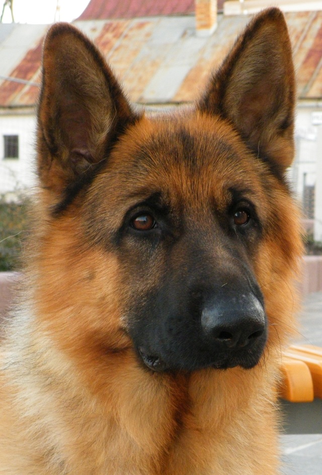 ScholaInNatura Fotogaleria