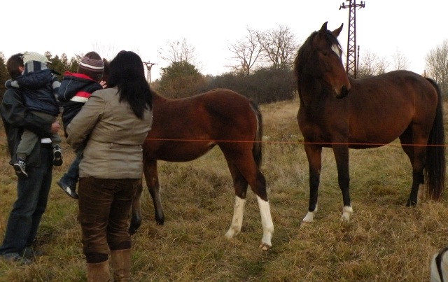 ScholaInNatura Fotogaleria