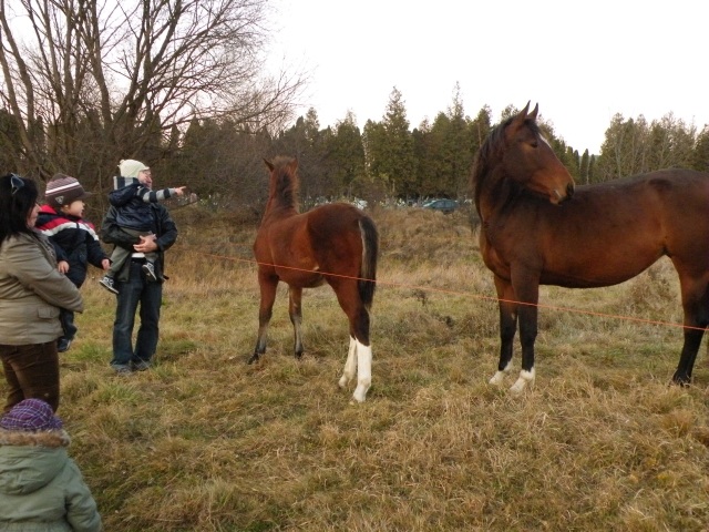 ScholaInNatura Fotogaleria