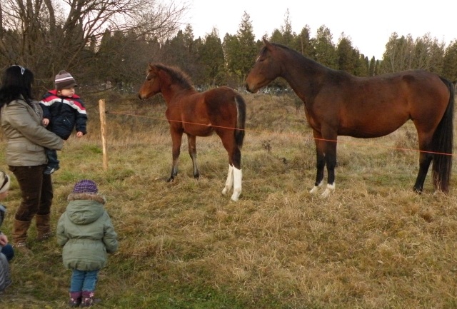 ScholaInNatura Fotogaleria