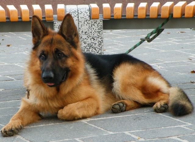 ScholaInNatura Fotogaleria