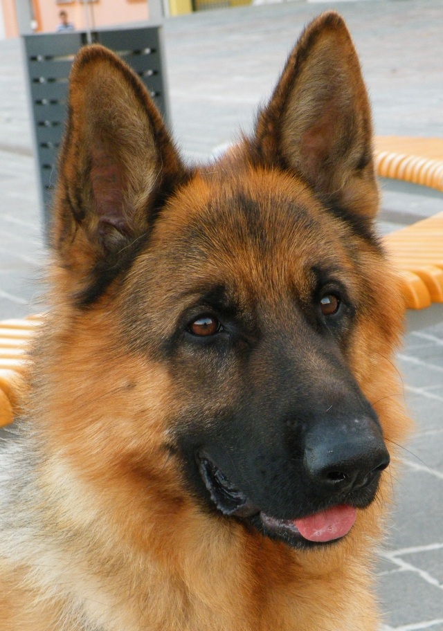 ScholaInNatura Fotogaleria