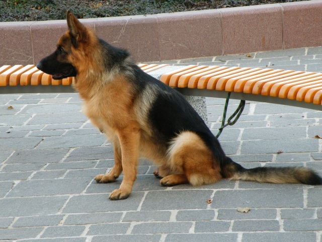 ScholaInNatura Fotogaleria