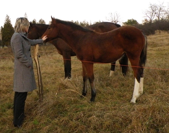 ScholaInNatura Fotogaleria