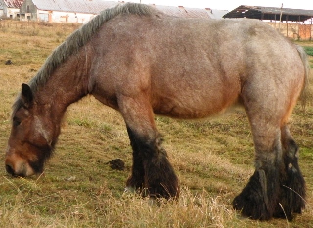 ScholaInNatura Fotogaleria