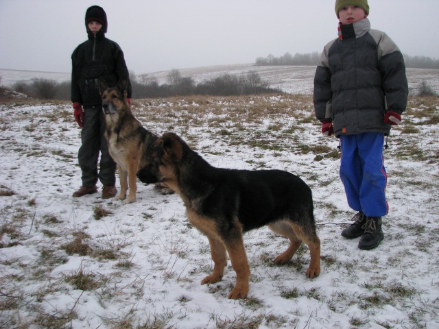 ScholaInNatura Fotogaleria