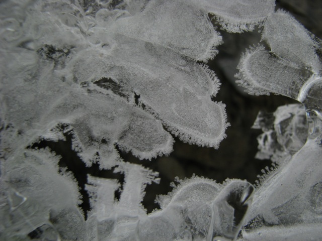 ScholaInNatura Fotogaleria