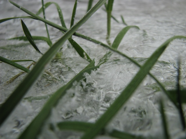 ScholaInNatura Fotogaleria