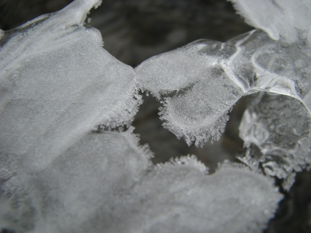 ScholaInNatura Fotogaleria