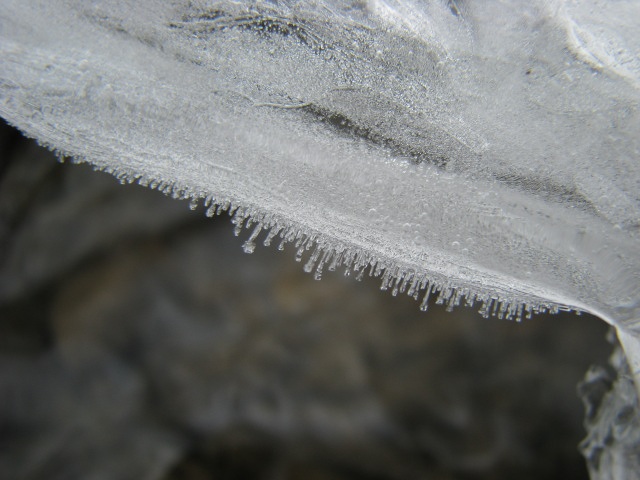 ScholaInNatura Fotogaleria