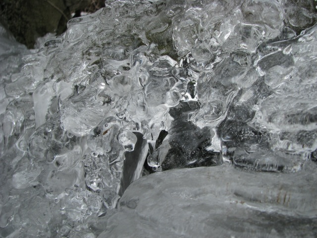 ScholaInNatura Fotogaleria