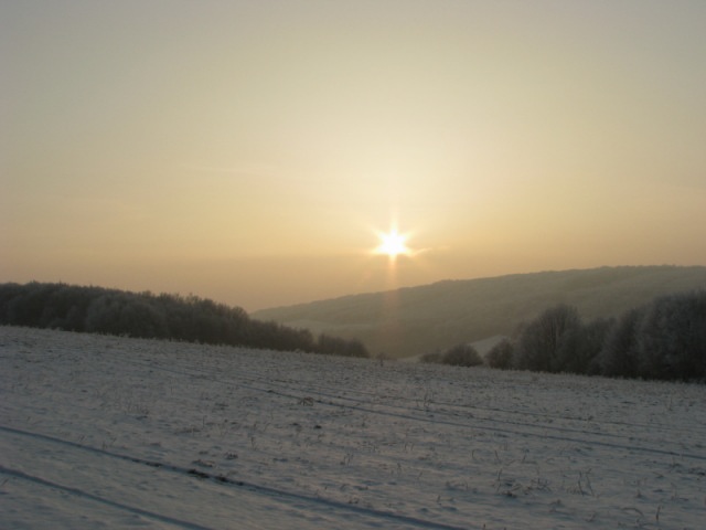 ScholaInNatura Fotogaleria