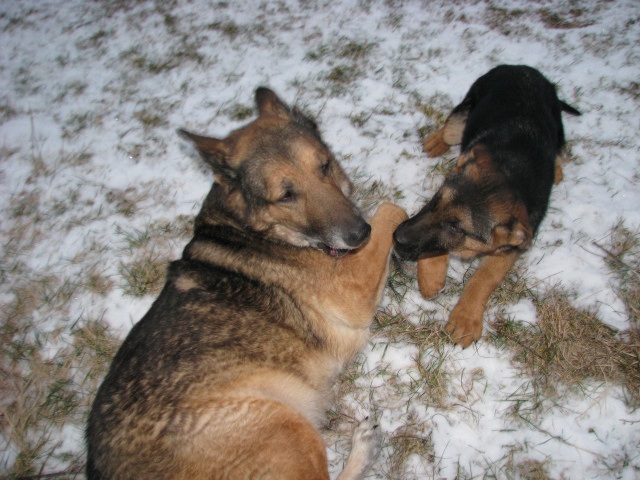ScholaInNatura Fotogaleria