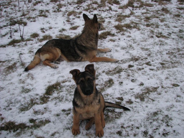 ScholaInNatura Fotogaleria